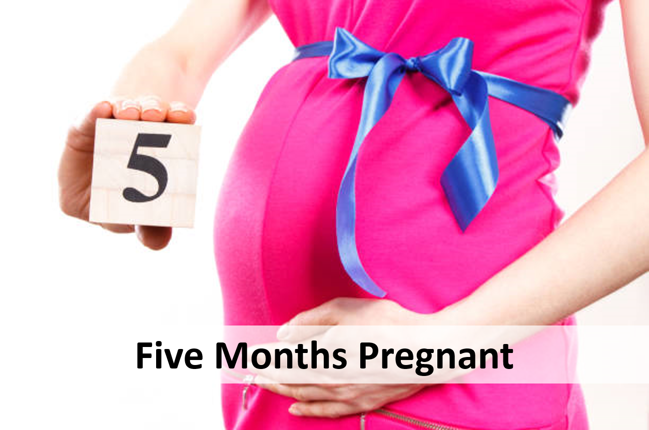 Mang thai tháng thứ 5