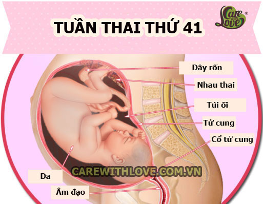 thai-ky-tuan-41(12)