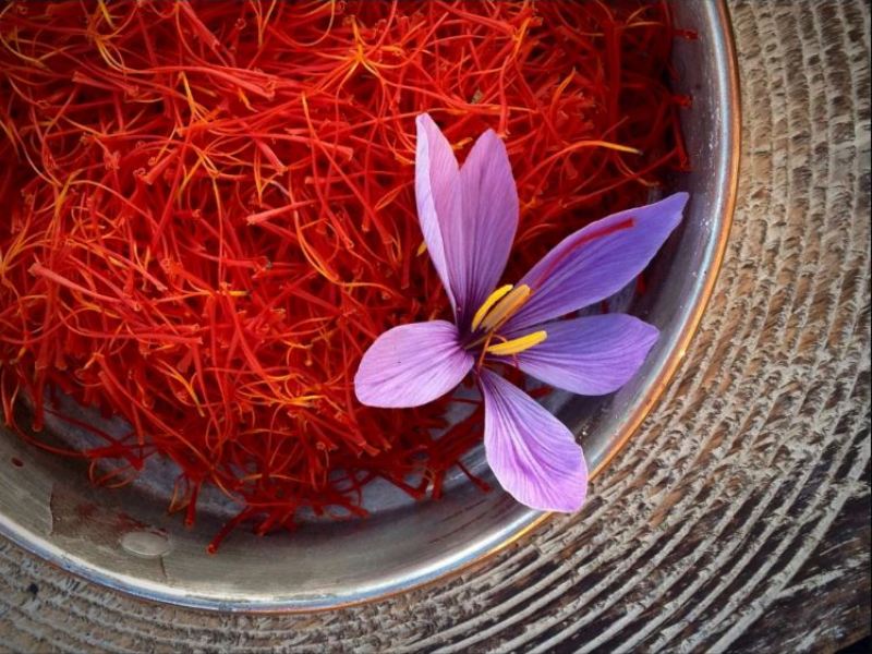 Saffron là gì? Bạn biết gì về công dụng và cách dùng của chúng?